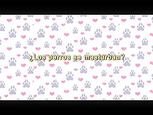 Guia de bestialidad 2: El arte de la intimidad con los perros