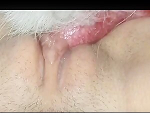 Video di sesso con un cane