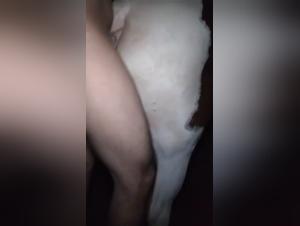 Gorge profonde : Mare blanche sodomisée par un cheval puissant