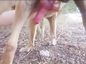 Intense blowjob with a dog