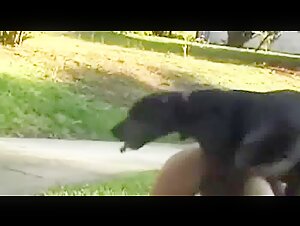 Bestialidad: una mujer y su perro en un impactante video