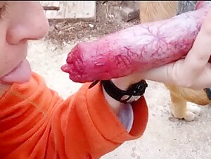 Blowjob mit einem Hund: ein extremes Zoophilie-Video