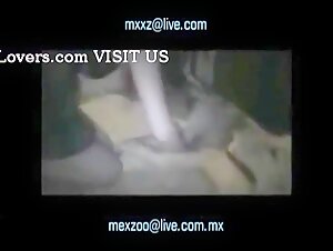 Recopilacion de videos de bestialidad: mujeres y animales en situaciones apasionantes