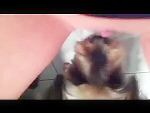 Video di sesso con un cane