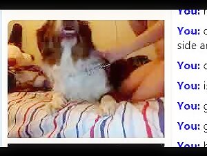 Young Girl and Dog Webcam: A Hot Bestiality Video