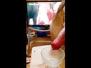 Vidéos de Sexe avec des Chiens - Bestialité et Extrême