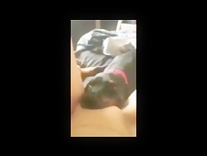 Compilation de Chiens Léchant l'Intimité de Filles