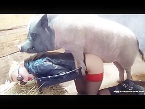 Sex with a pig: a blonde lets loose