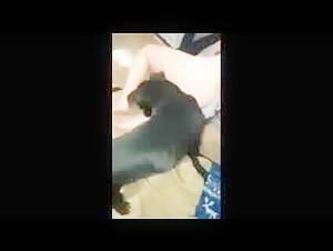 Sex video with a dog: a bestial and shocking experience