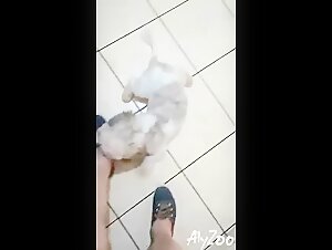 Amateur woman and dog in bestiality video