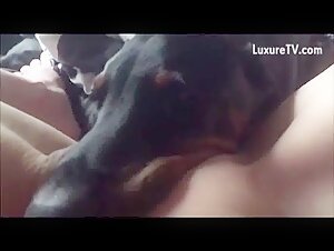 Vidéo de Sexe avec Chien - Regardez une Femme et un Chien dans une Scène de Bestialité Excitante