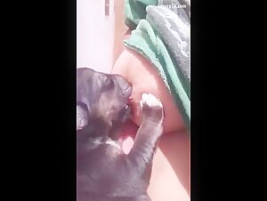 Zoofilia: un perro lame los pechos de una mujer