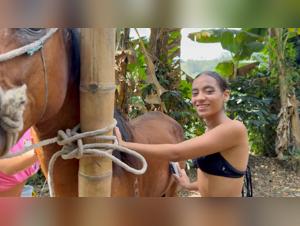 bestialité et plaisir animal extrême
