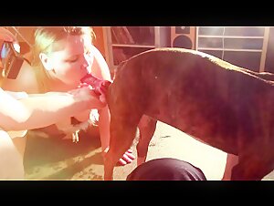 Woman Submissive To Dog In Extreme Zoophilia Video