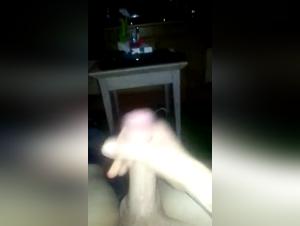 Tierbefriedigung