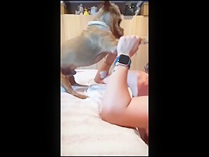 Belle fille et son chien dans une scène de sexe bestiale