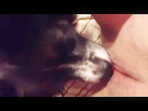 Video of Sex with a Dog