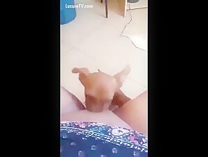 Submissive woman and her dog: an extreme zoophilia video