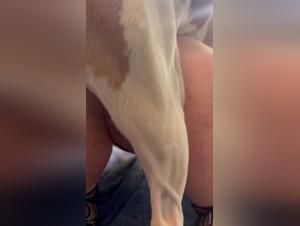 Dog Fucking Model: Wild Oral and Raw Pleasure
