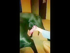 Video de sexo con perros: una experiencia intensa