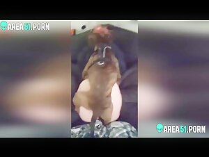 Vidéo de sexe bestialité : Un chien baise une femme soumise