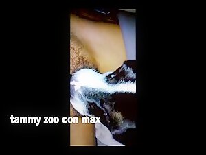 Video of Sex with a Dog