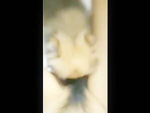 Vidéo de Sexe Bestialité avec une Chienne Asiatique et Son Chien