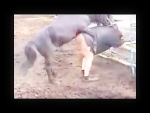 Horses and Women Compilation