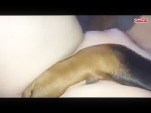 Perra sumisa y perro dominante: un intenso video de zoofilia