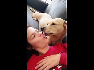 Centrarse en videos de perros