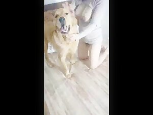 Bestialidad: mujer japonesa y su perro