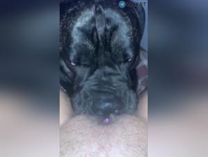 The Thrill of Bestiality: Canine & Feminina Delights