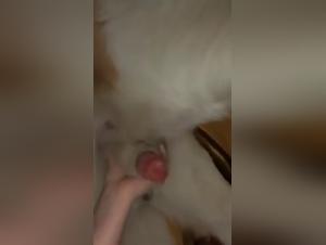 Bestialita adolescenziale: dominio canino