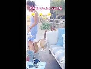 Bestiality Sex Video: Teen female dog and Dog