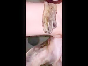 Video de sexo bestial: una chica y su perro