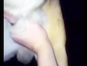 Videos de Sexo con Perros - Bestialidad Extrema