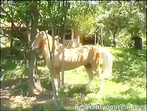 Horse Milly: An Exciting Bestiality Experience