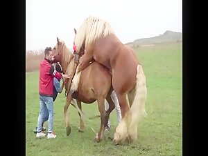 Rencontre bestiale avec un cheval - Vidéo de zoophilie intense