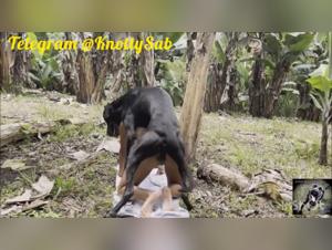 Dog Devours Xiomara and Sharley's Desire