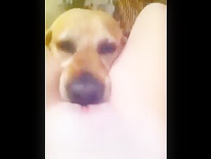 Videos de sexo de bestialidad con perros.