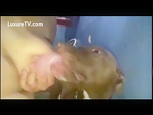 Mujer amamantando a su perro en el bano - Video completo