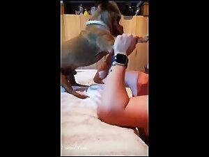 Slut's Erotic Fuck With Her Dog 