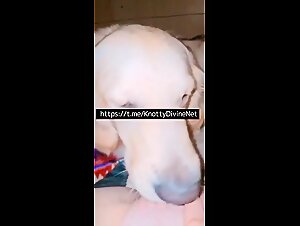 Zoophilia Video: Young Girl and Family Dog