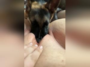 Sapna gewalttatige Bindung zu Hund