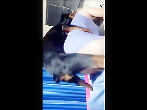 Submissive woman and dog: a shocking bestiality video