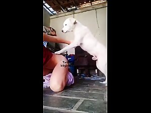 Zoophilia: Woman offers her anus to her dog