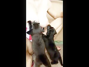 Mujer amamantando a un cachorro - Video de sexo con perros