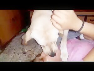 Indian woman and her dog: an exciting zoophilia video