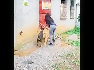 Video de sexo extremo con perros: una fantasia prohibida