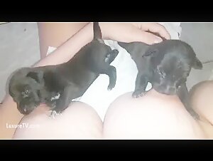 Bestialidad: una mujer y su perro